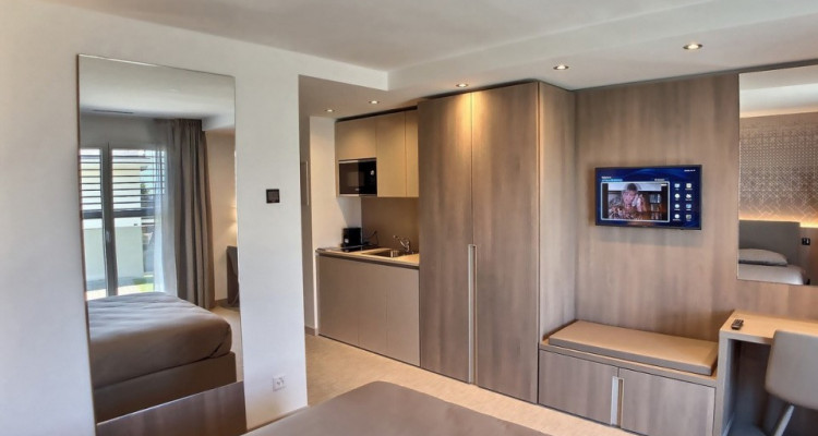 Magnifique studio à louer // Rez avec terrasse / St-Sulpice image 3