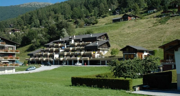 Duplex avec terrasse et vue imprenable sur les Alpes Bernoises. Place de parc sous couvert en option. Ascenseur.  image 8