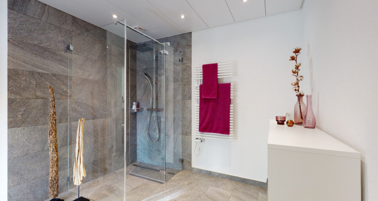 Gepflegtes DFH - top Aussicht mit schöner Garten- und Aussenfläche image 3