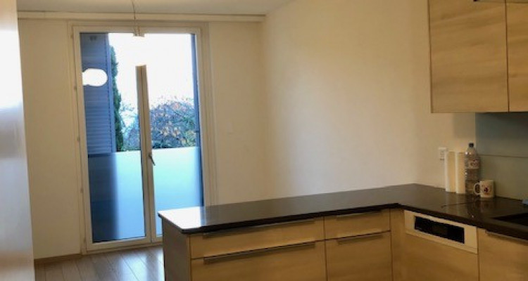 A louer un magnifique appartement moderne de 6pcs à Vésenaz image 2