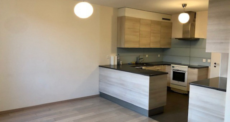 A louer un magnifique appartement moderne de 6pcs à Vésenaz image 3