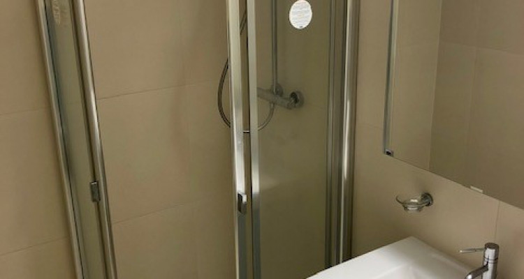 A louer un magnifique appartement moderne de 6pcs à Vésenaz image 14