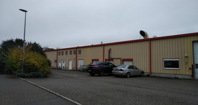 Halle de production alimentaires en vente à Granges-Marnand. image 3