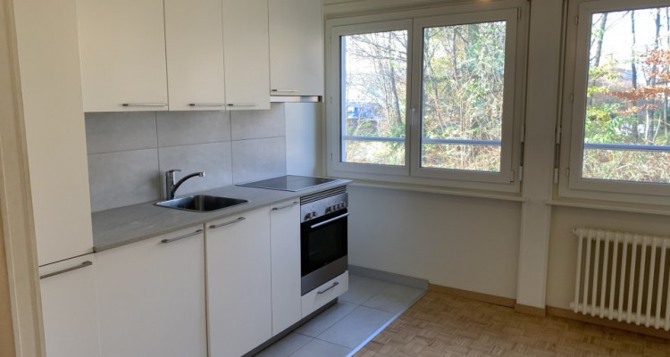 Appartement 1.5 pce au rez - Rue Ancienne-Poste 11 à Bussigny image 1