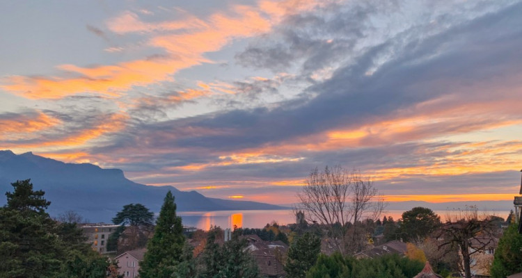 FOTI IMMO - Maison de 3 appartements à rénover. image 2
