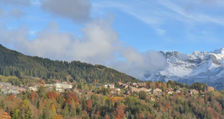 Villars-sur-Ollon, au cœur du Domaine de Roche-Grise, à proximité des pistes de ski… image 14