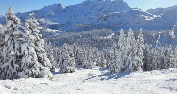 Villars-sur-Ollon, au cœur du Domaine de Roche-Grise, à proximité des pistes de ski… image 15