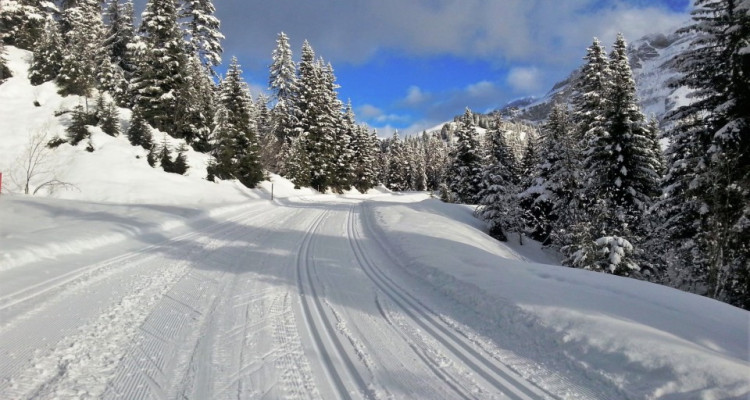 Villars-sur-Ollon, au cœur du Domaine de Roche-Grise, à proximité des pistes de ski… image 16