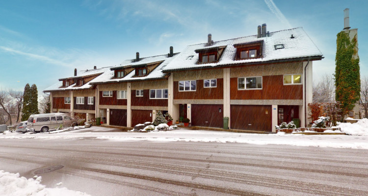 Am Fusse des Üetliberg image 1