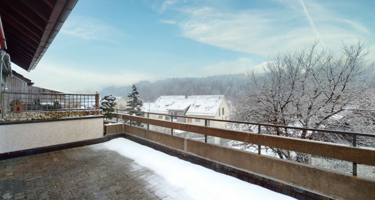 Am Fusse des Üetliberg image 2