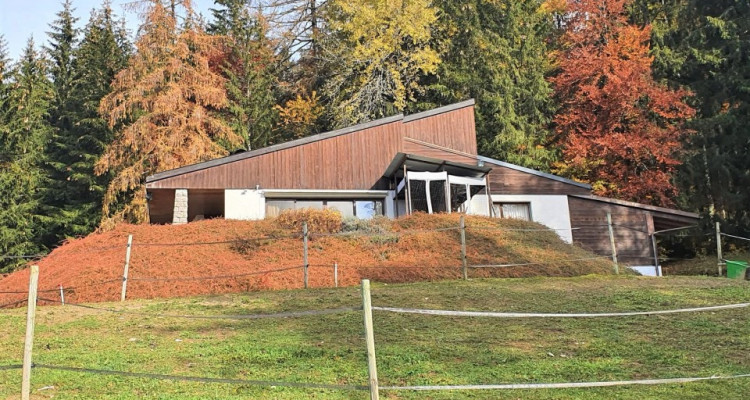 Endroit idyllique villa+ écurie pour chevaux, VUE MAGNIFIQUE ! image 4