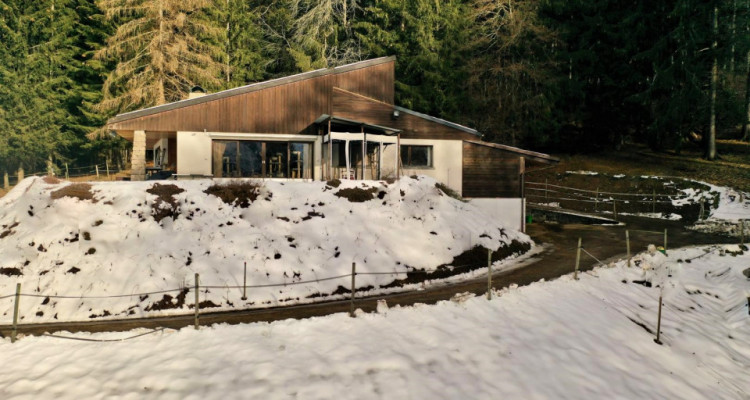 Endroit idyllique villa+ écurie pour chevaux, VUE MAGNIFIQUE ! image 3