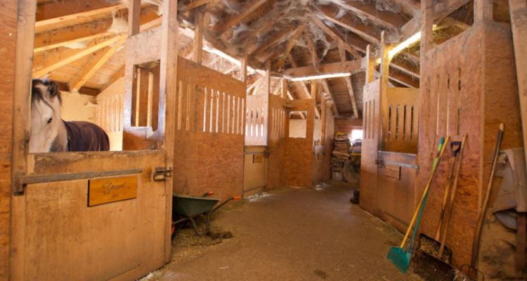 Endroit idyllique villa+ écurie pour chevaux, VUE MAGNIFIQUE ! image 13