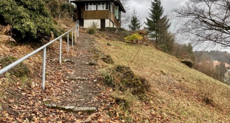 A saisir au Mont-Pélerin, petit chalet sur une magnifique parcelle avec un grand potentiel de construction image 1