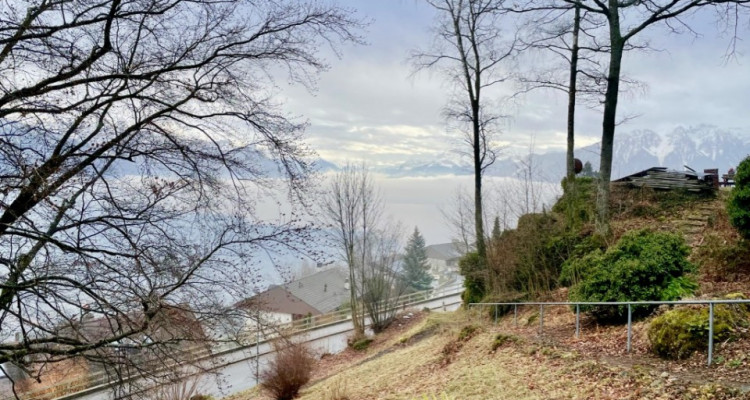 A saisir au Mont-Pélerin, petit chalet sur une magnifique parcelle avec un grand potentiel de construction image 3