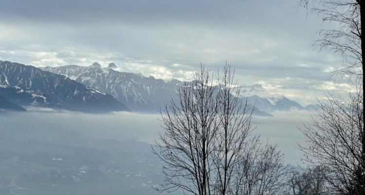 A saisir au Mont-Pélerin, petit chalet sur une magnifique parcelle avec un grand potentiel de construction image 4