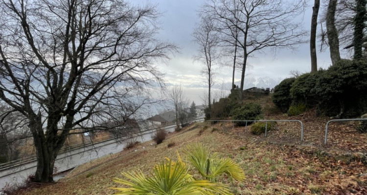 A saisir au Mont-Pélerin, petit chalet sur une magnifique parcelle avec un grand potentiel de construction image 5