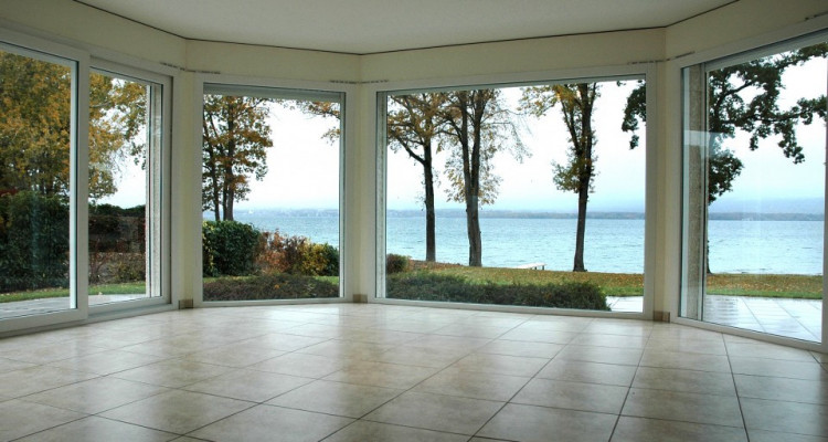 Villa on Lake Geneva (Nernier France-20 min from Geneva) image 7
