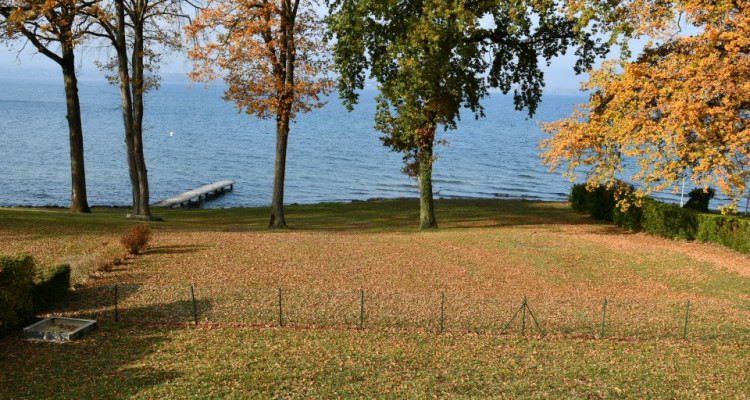 Villa on Lake Geneva (Nernier France-20 min from Geneva) image 11