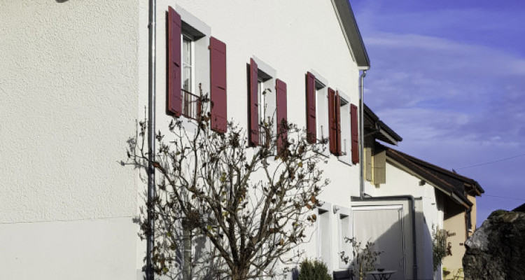 Maison villageoise de 2 appartements à Concise image 3