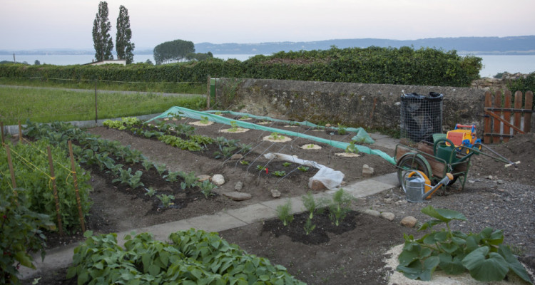 Maison villageoise de 2 appartements à Concise image 4