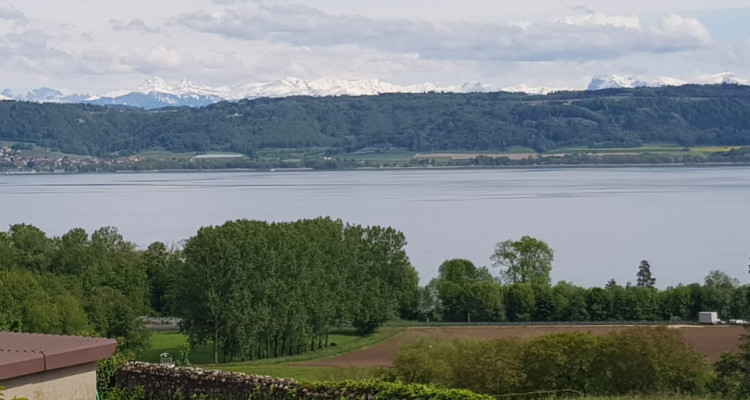 Maison villageoise de 2 appartements à Concise image 2