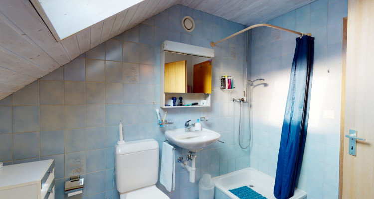 Grosses Einfamilienhaus und Grundstück - für Naturliebhaber image 3