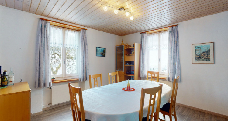 Grosses Einfamilienhaus und Grundstück - für Naturliebhaber image 4