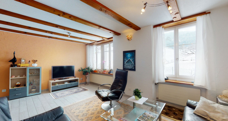 Grosses Einfamilienhaus und Grundstück - für Naturliebhaber image 6