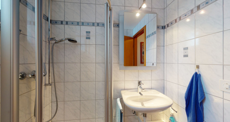 Grosses Einfamilienhaus und Grundstück - für Naturliebhaber image 10