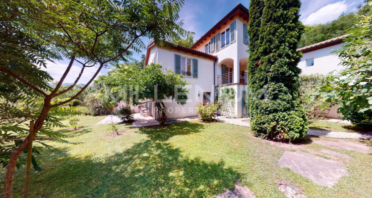 Comme un air du Sud... à Montreux image 3