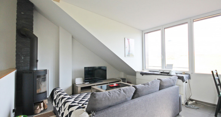 Magnifique 3,5p / 2 chambres / jardin partagé et vue - ECURIES chevaux image 1