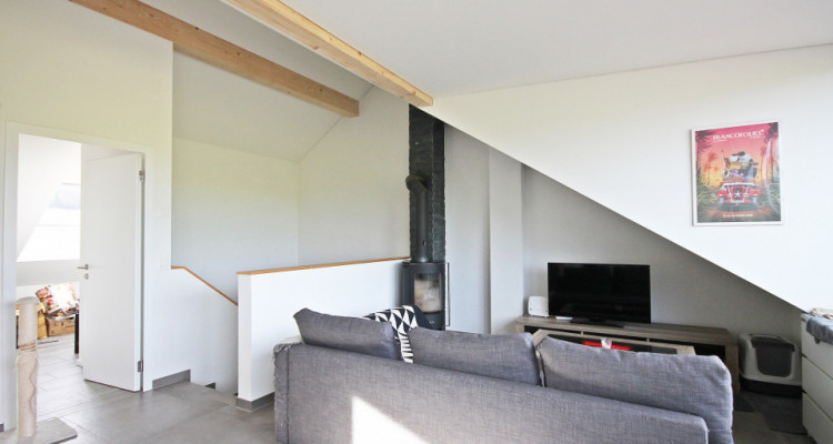 Magnifique 3,5p / 2 chambres / jardin partagé et vue - ECURIES chevaux image 2