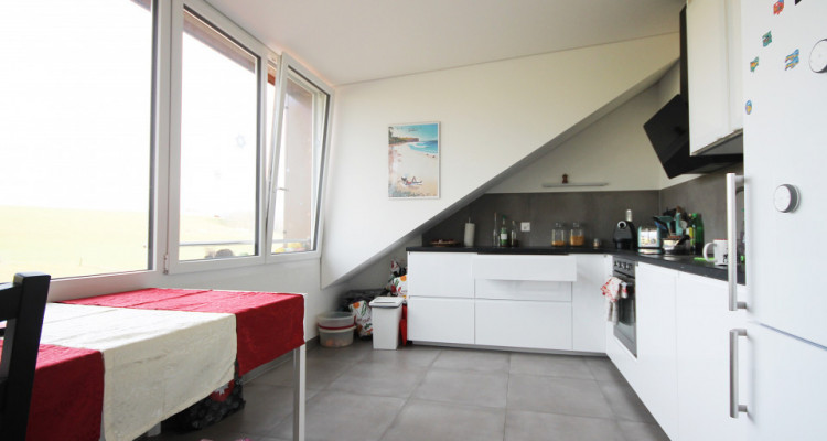 Magnifique 3,5p / 2 chambres / jardin partagé et vue - ECURIES chevaux image 3