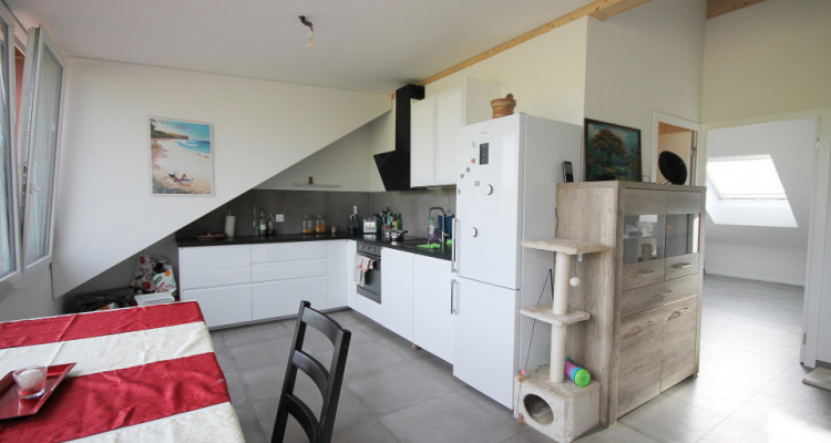 Magnifique 3,5p / 2 chambres / jardin partagé et vue - ECURIES chevaux image 4