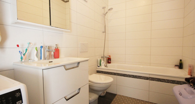 Magnifique 3,5p / 2 chambres / jardin partagé et vue - ECURIES chevaux image 7