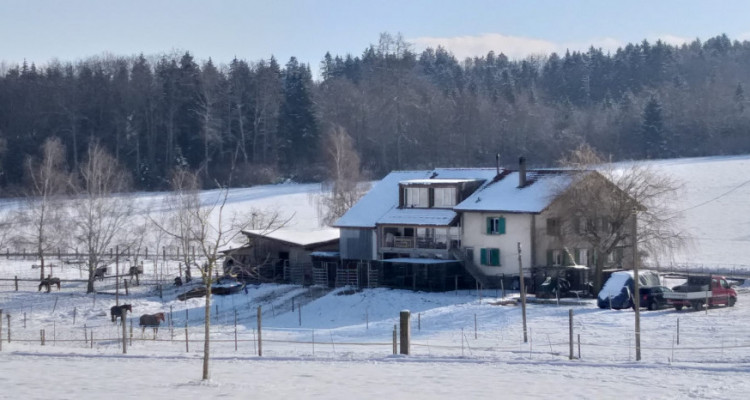 Magnifique 3,5p / 2 chambres / jardin partagé et vue - ECURIES chevaux image 9