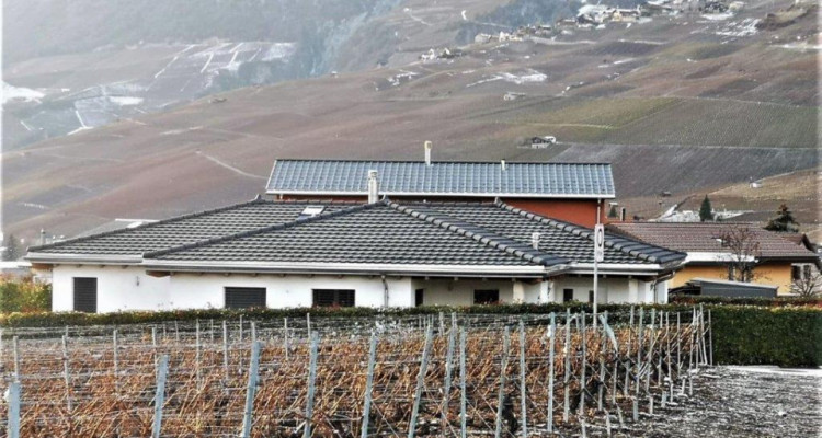 Notre coup de coeur : magnifique villa de 5.5 pièces avec vue dégagée image 2