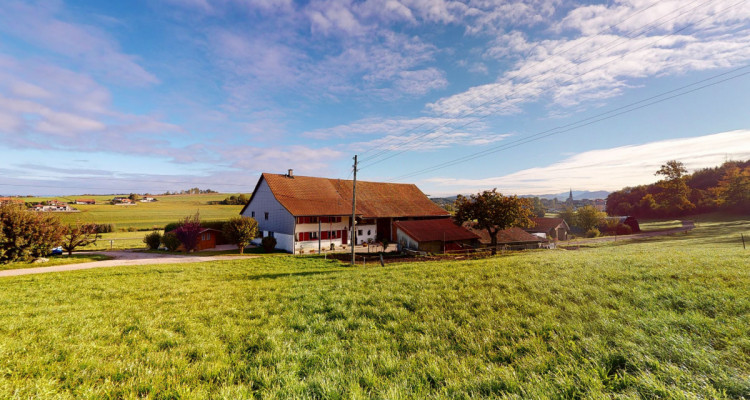 Belle ferme avec beaucoup de potentiel dans un cadre verdoyant image 1