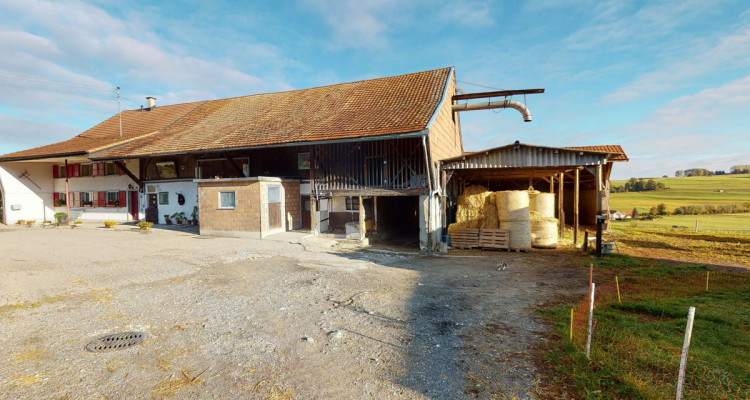 Belle ferme avec beaucoup de potentiel dans un cadre verdoyant image 3