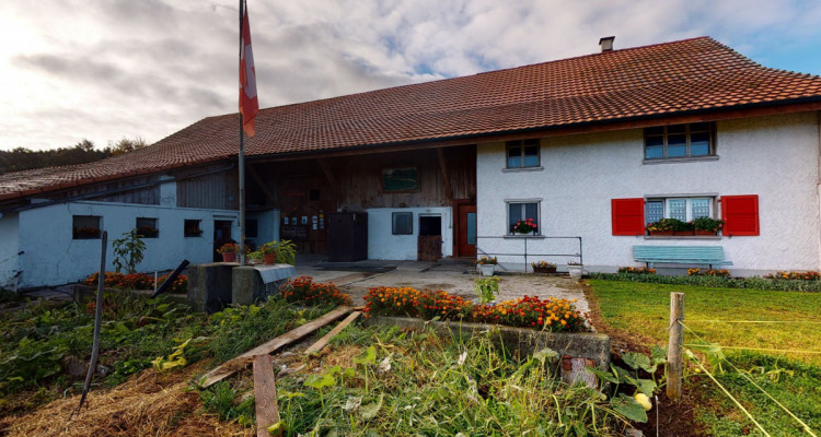 Belle ferme avec beaucoup de potentiel dans un cadre verdoyant image 4