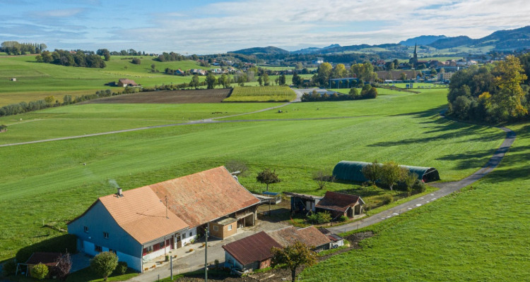 Belle ferme avec beaucoup de potentiel dans un cadre verdoyant image 6