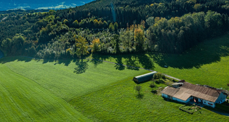Belle ferme avec beaucoup de potentiel dans un cadre verdoyant image 7