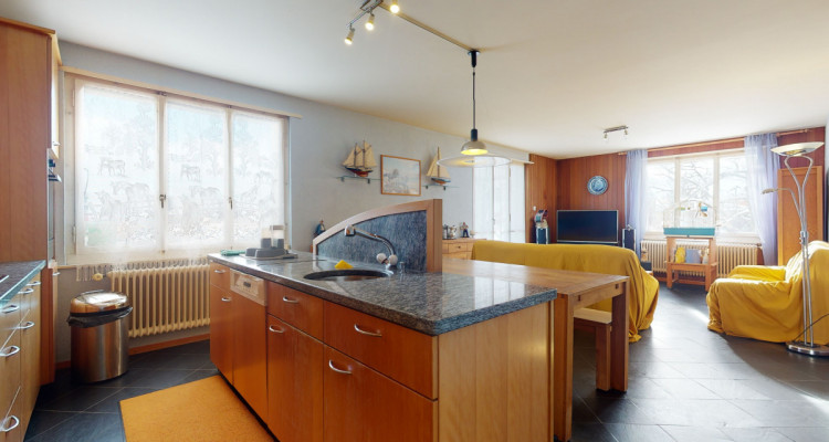 Magnifique maison de 2 appartements avec vue sur la campagne image 8