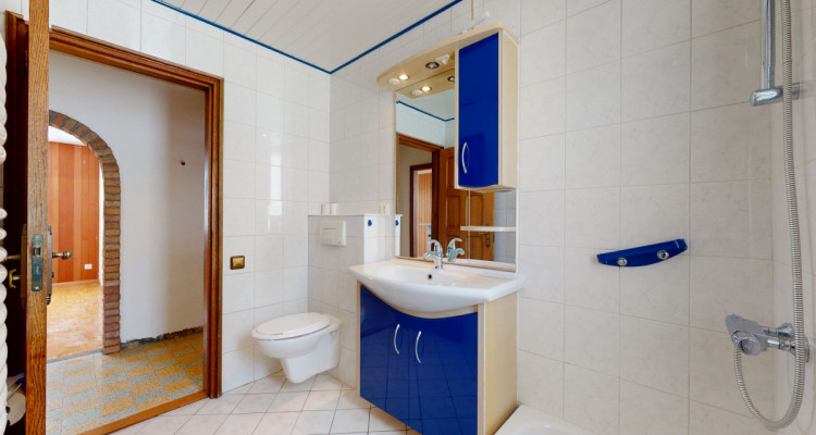 Magnifique maison de 2 appartements avec vue sur la campagne image 9