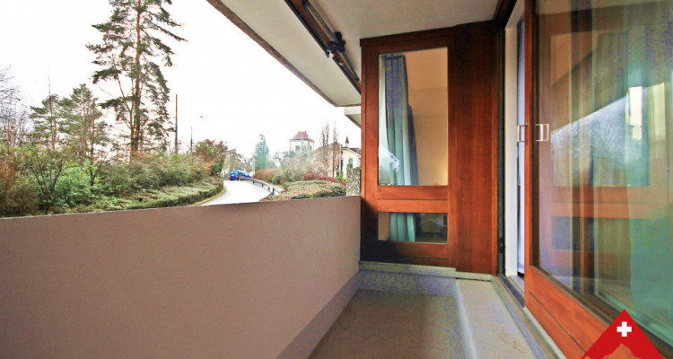 Magnifique 3p meublé // 1 chambre // balcon image 5