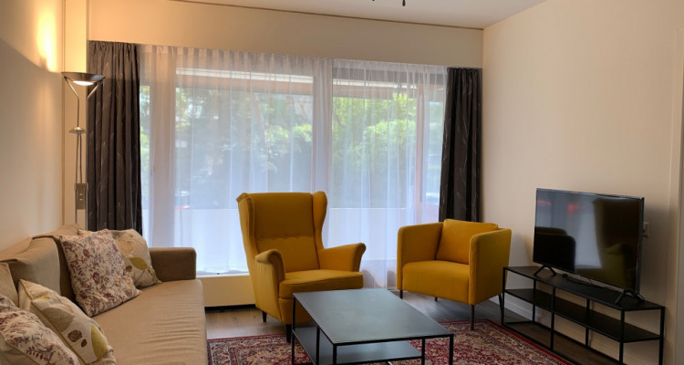 Magnifique 3p meublé // 1 chambre // balcon image 1