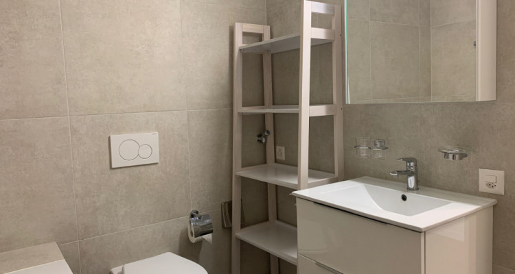 Magnifique 3p meublé // 1 chambre // balcon image 4