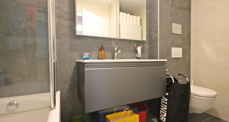 Magnifique rez-de-jardin 3,5p / 2 chambres / jardin et terrasse image 5