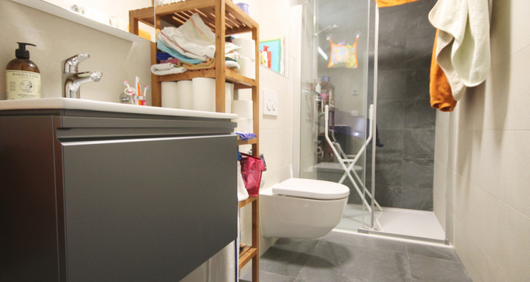 Magnifique rez-de-jardin 3,5p / 2 chambres / jardin et terrasse image 6